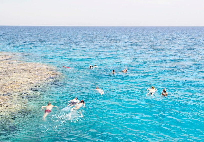 Picture 14 for Activity Hurghada: Dolphin Watching & Snorkeling w/ Private Transfer