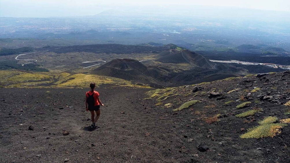 Picture 3 for Activity Etna trekking and tasting- medium difficulty-From Syracuse