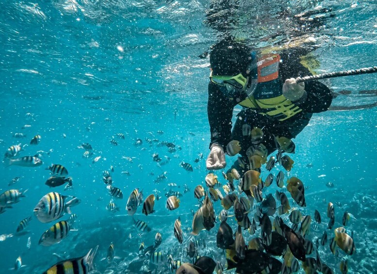 Hidden Gili's Lombok Snorkeling Daily Tour