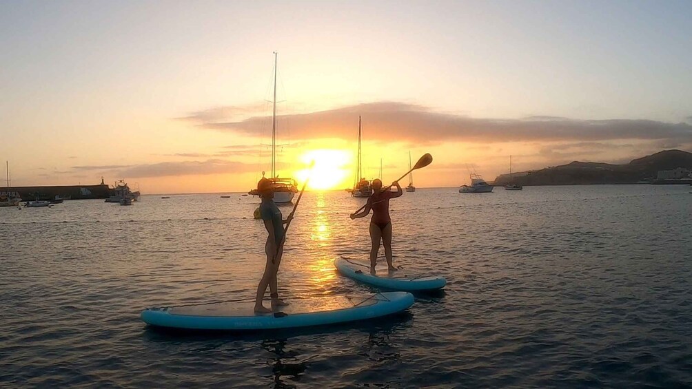 Picture 2 for Activity 2h Sunset Paddle Board Session in Gran Canaria