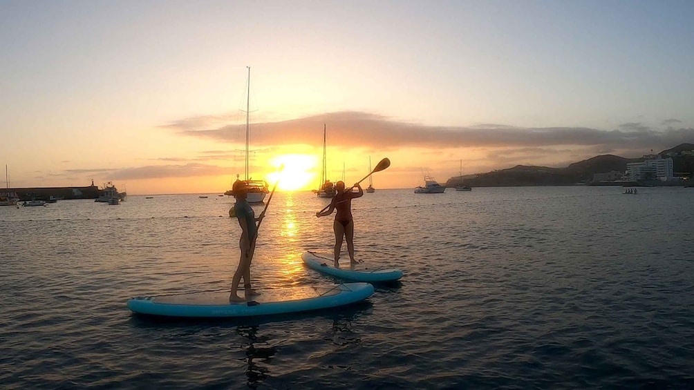 Picture 2 for Activity 2h Sunset Paddle Board Session in Gran Canaria