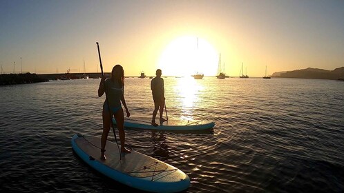 Sesión de surf de remo al atardecer de 2 horas en Gran Canaria