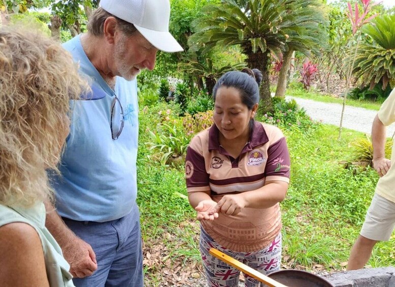 Picture 5 for Activity Guayaquil: Short visit Chocolate making and cacao farm.