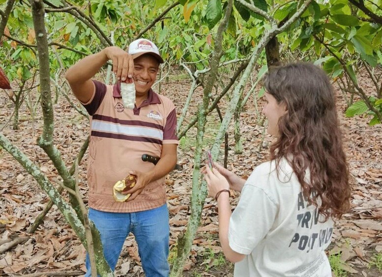 Picture 6 for Activity Guayaquil: Short visit Chocolate making and cacao farm.