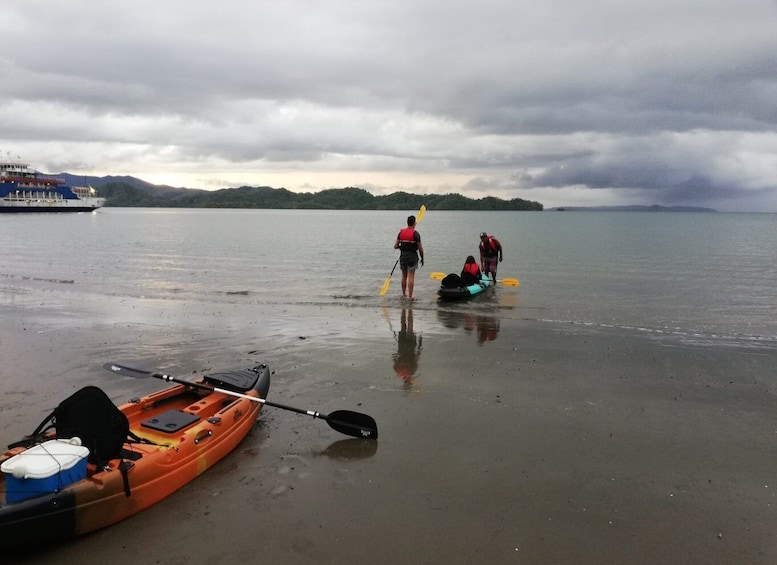 Picture 4 for Activity Paquera: Sunset and Bioluminescence Evening Kayaking Tour