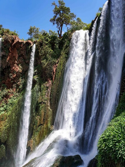 Picture 2 for Activity Ouzoud Waterfalls Guided Hike and Boat Trip