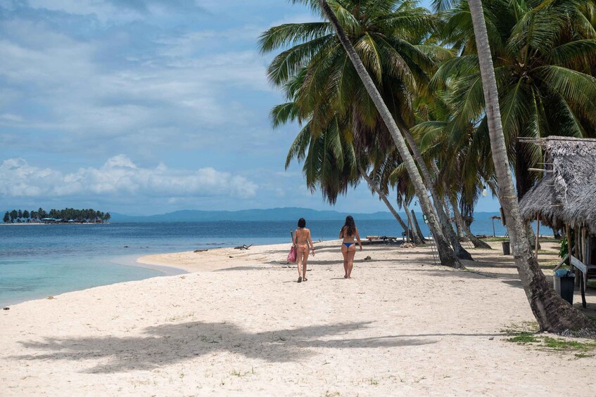 Picture 16 for Activity Romantic camping in San Blas Islands