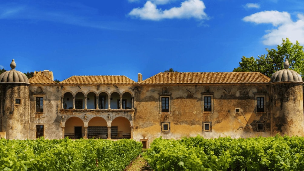 Picture 5 for Activity Discover Arrábida: Wine and Scenic Wonders