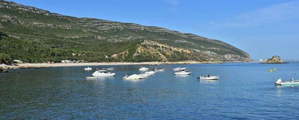 Picture 4 for Activity Discover Arrábida: Wine and Scenic Wonders