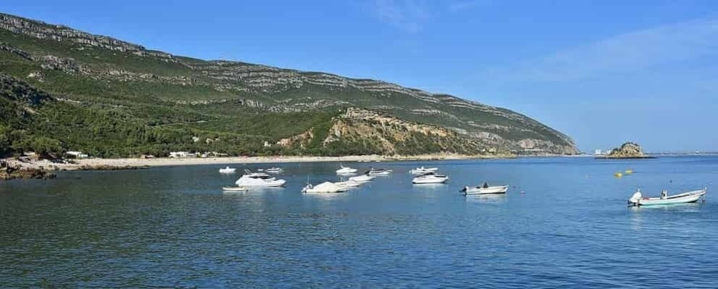 Picture 4 for Activity Discover Arrábida: Wine and Scenic Wonders