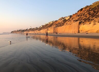 Solana Beach: Full Day Skimboard Rental