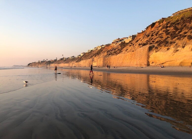 Picture 1 for Activity Solana Beach: Full Day Skimboard Rental