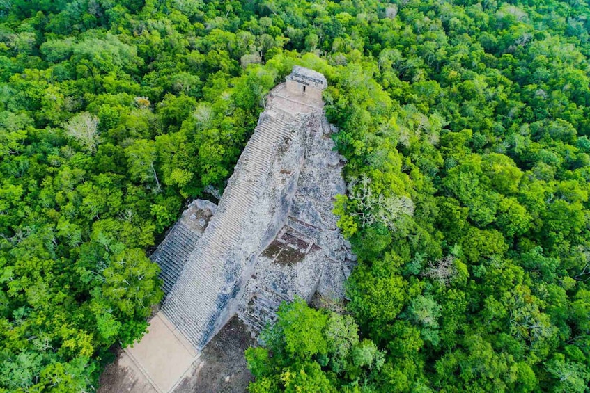 Picture 5 for Activity From Tulum: Punta Laguna Nature Reserve, Cenote & Cobá Tour