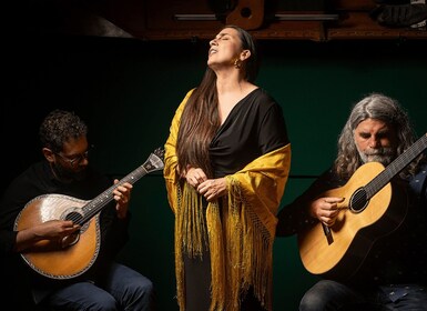 Porto: The Authentic Fado Concert with Port Wine