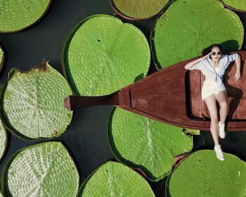 Phuket: Private & All-Inclusive Giant Water Lilies Tour