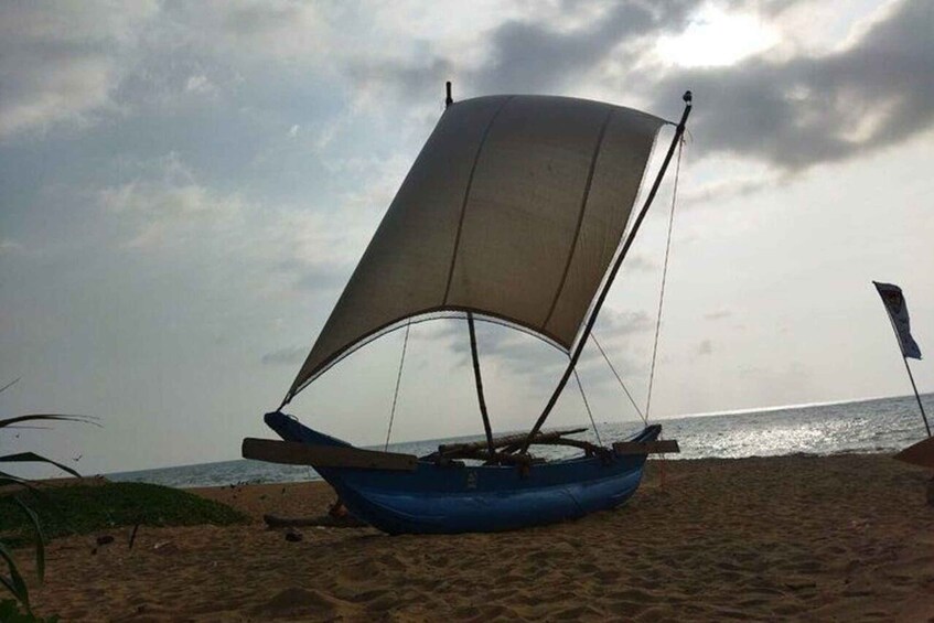 Picture 2 for Activity Sunset Sailing in Port City