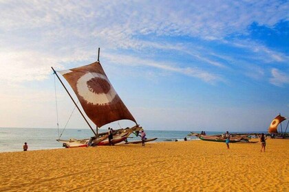 ล่องเรือชมพระอาทิตย์ตกในพอร์ตซิตี้