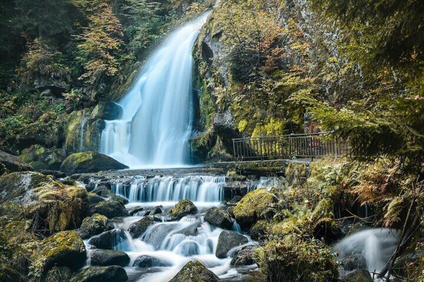 Private day trip from Frankfurt to Black Forest and Baden-Baden