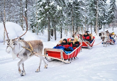 Rovaniemi: Reindeer Sleigh Ride with Hot Drink and Cookies