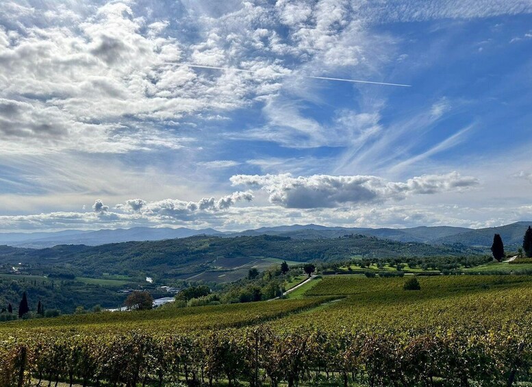 Picture 3 for Activity Lucca private day tour to Chianti and San Gimignano