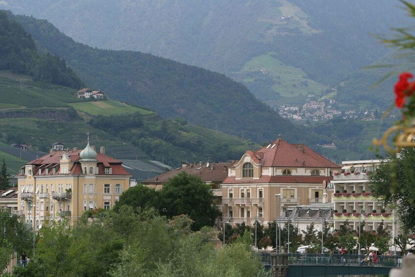 Picture 2 for Activity Merano Private Guided Walking Tour