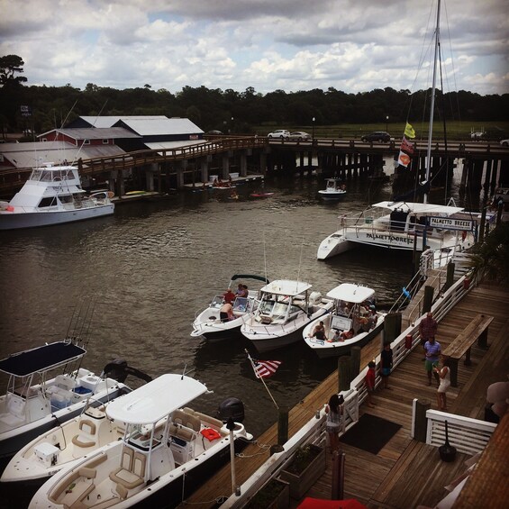 Picture 5 for Activity Charleston: Shem Creek Culture Tour