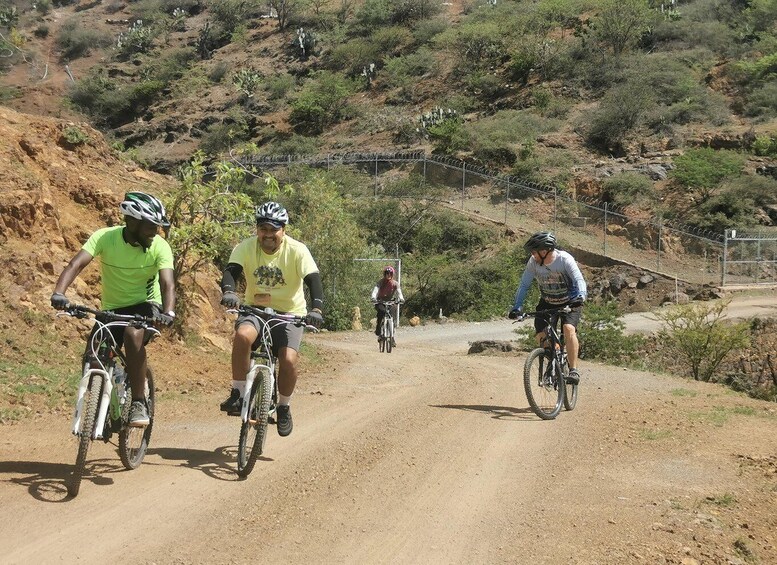 Picture 7 for Activity Guanajuato City: Bike Tour