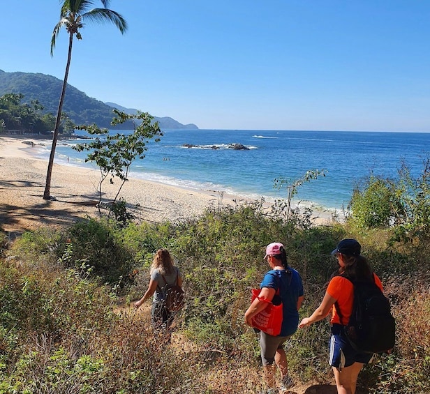 Picture 7 for Activity Puerto Vallarta: Full Day Hike to 6 Hidden Beaches & Snorkel