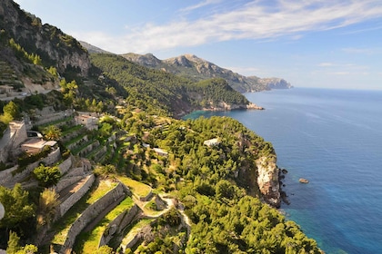 Mallorca: Valldemossa & Soller Tour