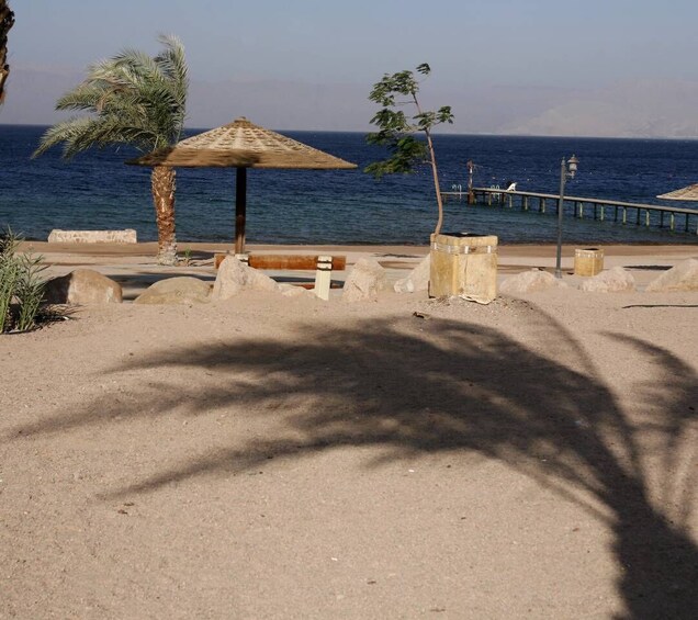 Picture 16 for Activity Discover Aqaba in Style: A 3-h City Tour by Car with meal