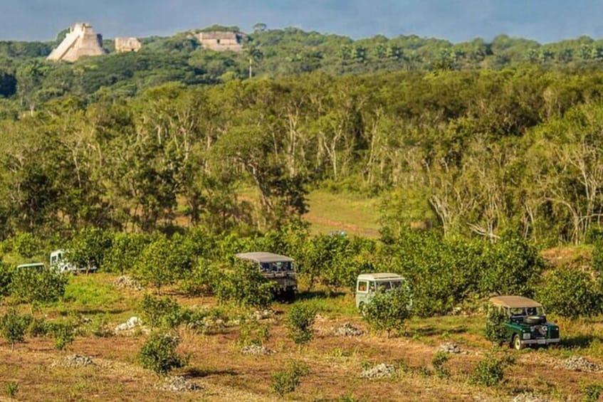 Picture 8 for Activity Uxmal Private Vintage Land Rover Tour with Mayan Breakfast