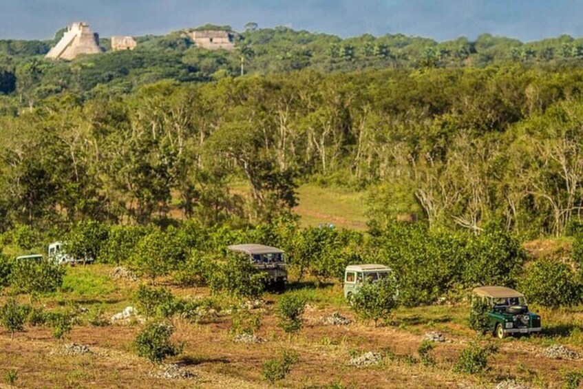 Picture 8 for Activity Uxmal Private Vintage Land Rover Tour with Mayan Breakfast