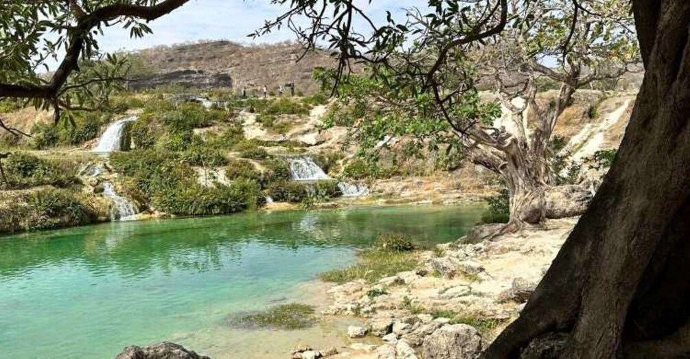 Picture 15 for Activity Private Full-Day Salalah East