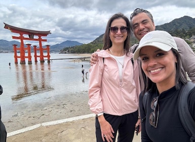 Hiroshima: Private Walking Tour with a Local