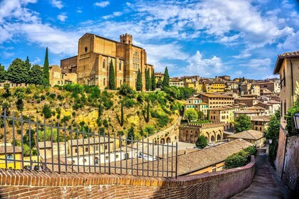 Siena privé wandeling