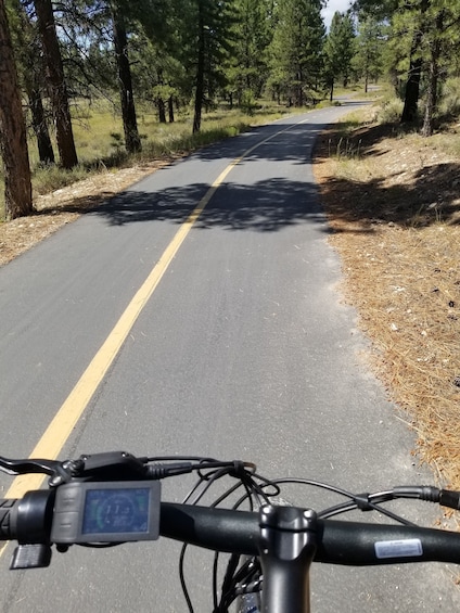 Picture 4 for Activity Bryce Canyon National Park: Guided E-Bike Tour