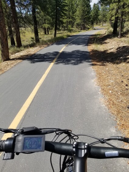 Picture 4 for Activity Bryce Canyon National Park: Guided E-Bike Tour