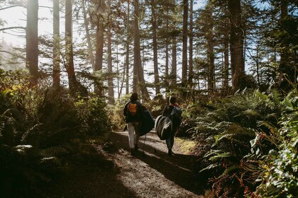 Ciudad del Cabo: Baño en el bosque y meditación a pie en silencio