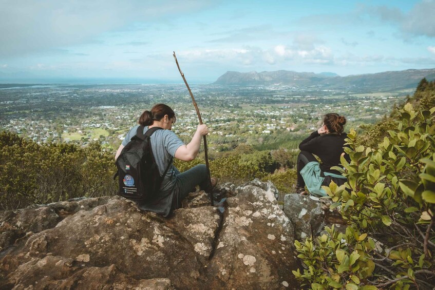 Picture 4 for Activity Cape Town: Forest Bathing and Silent Walking Meditation