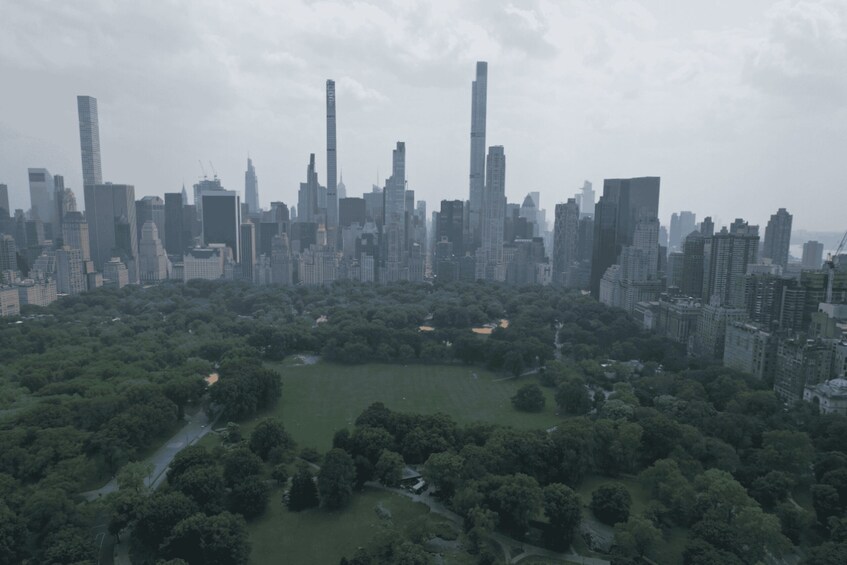 Picture 10 for Activity Official VIP Whole Central Park Horse Carriage Tour