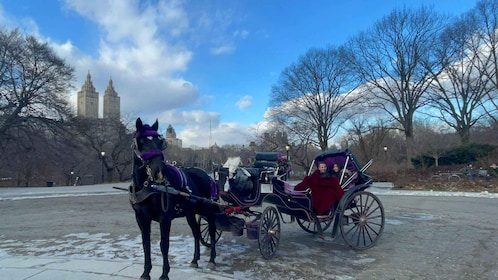 Official VIP Whole Central Park Horse Carriage Tour