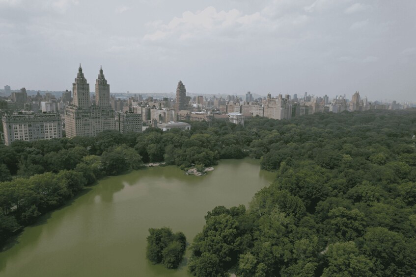 Picture 2 for Activity Official VIP Whole Central Park Horse Carriage Tour
