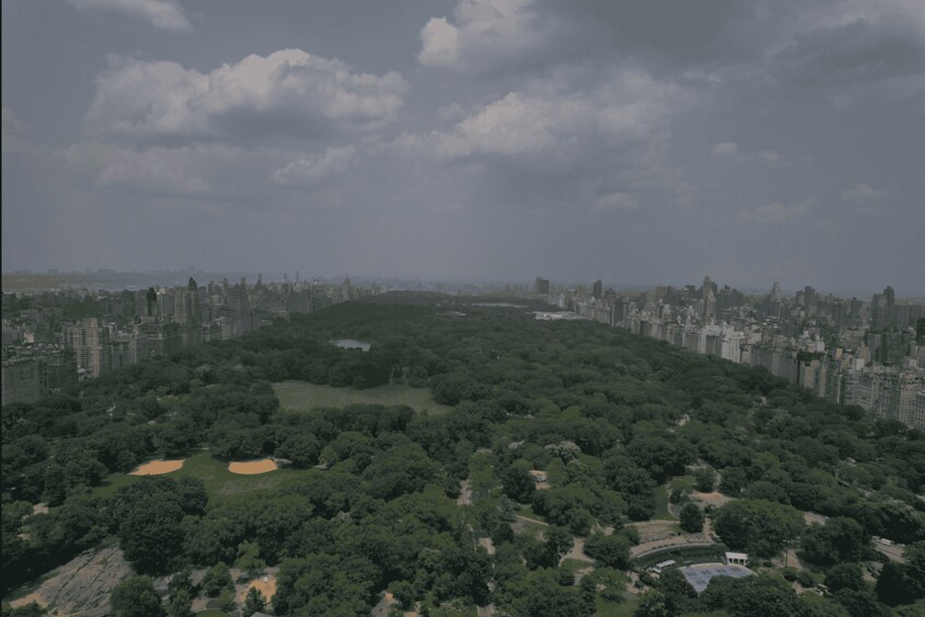 Picture 7 for Activity Official VIP Whole Central Park Horse Carriage Tour