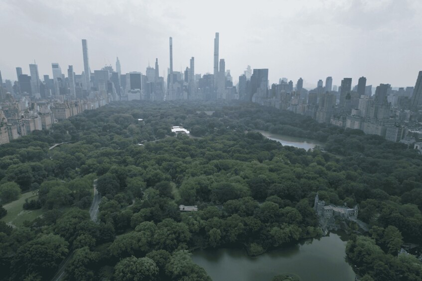 Picture 8 for Activity Official VIP Whole Central Park Horse Carriage Tour