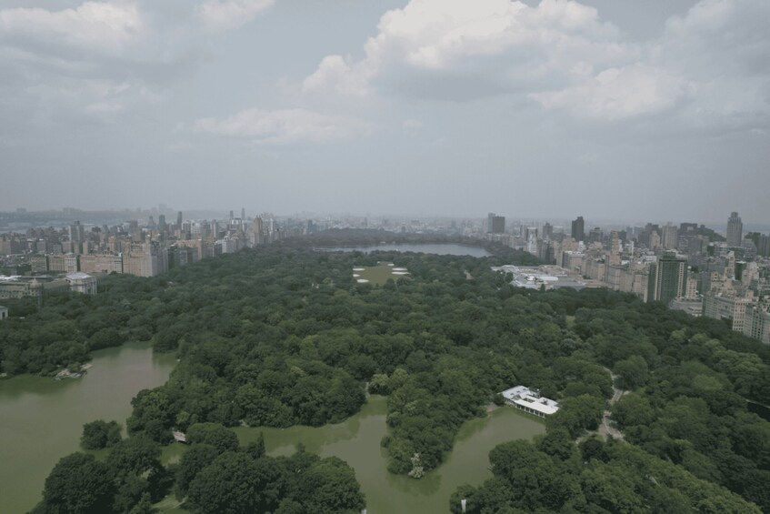 Picture 6 for Activity Official VIP Whole Central Park Horse Carriage Tour