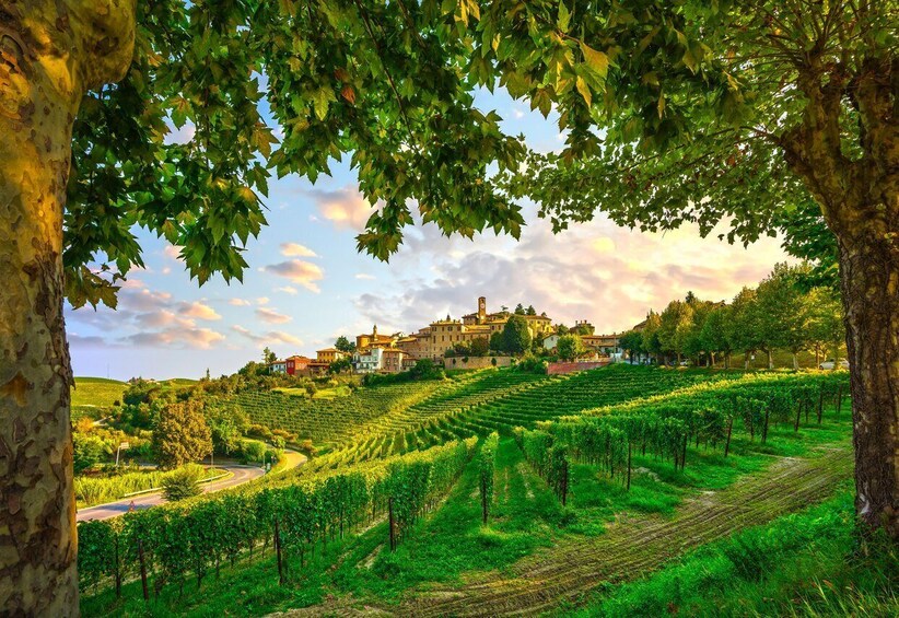 Picture 5 for Activity From Milan: Barolo Wine Tasting, Alba Tour and Castle Visit