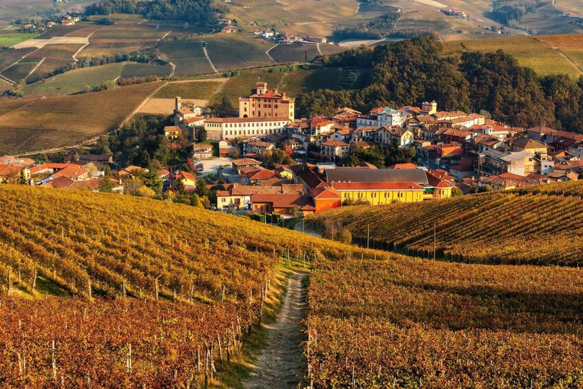 Picture 14 for Activity From Milan: Barolo Wine Tasting, Alba Tour and Castle Visit