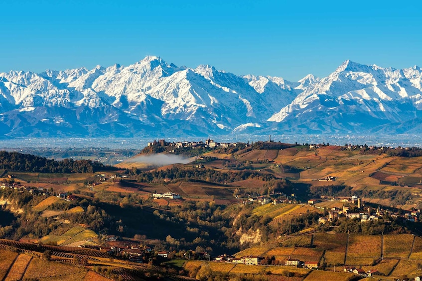 Picture 1 for Activity From Milan: Barolo Wine Tasting, Alba Tour and Castle Visit