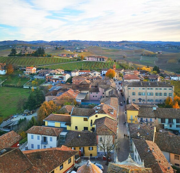 Picture 13 for Activity From Milan: Barolo Wine Tasting, Alba Tour and Castle Visit