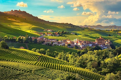 From Milan: Barolo Wine Tasting, Alba Tour and Castle Visit